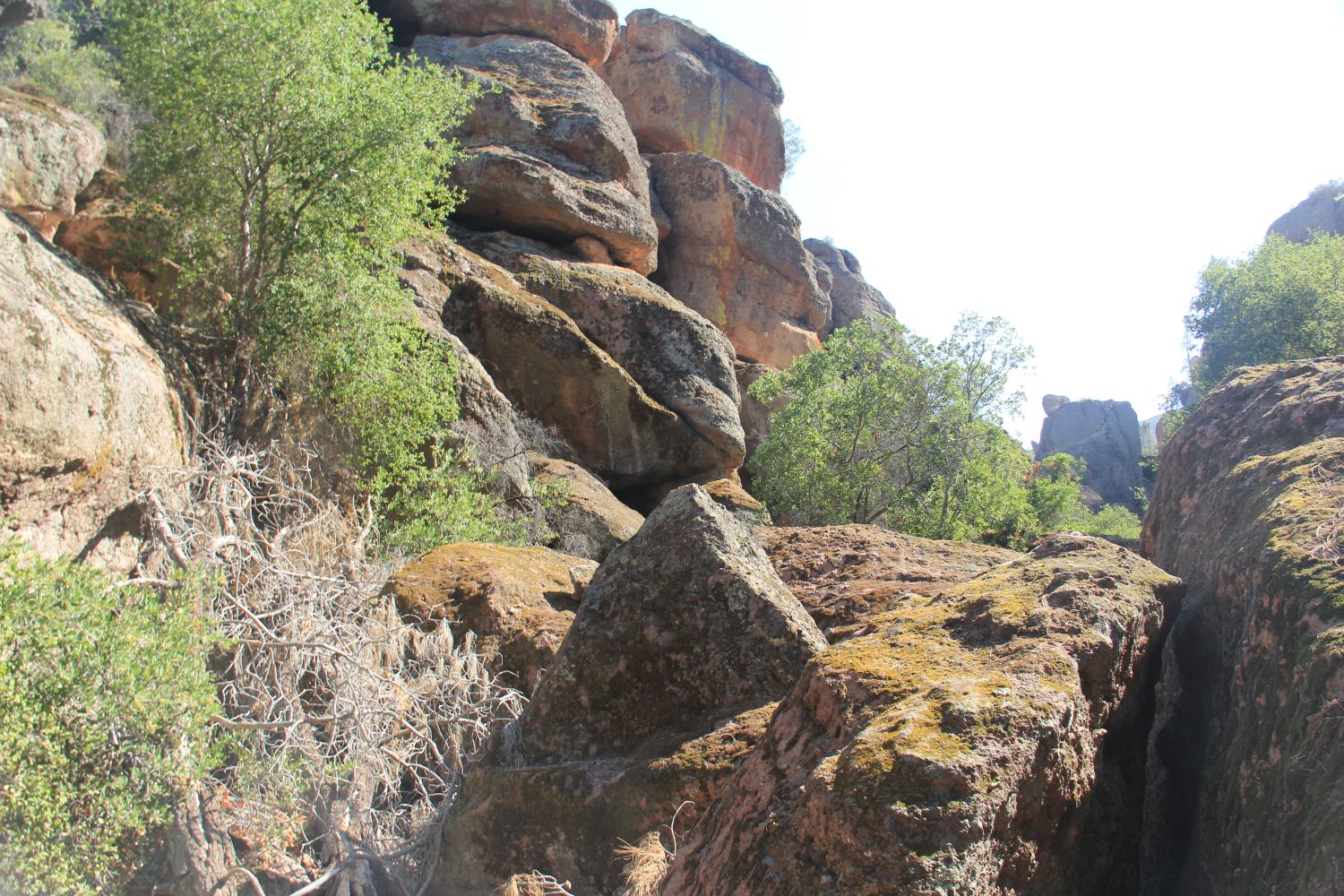 Bear Gulch Cave Trail 